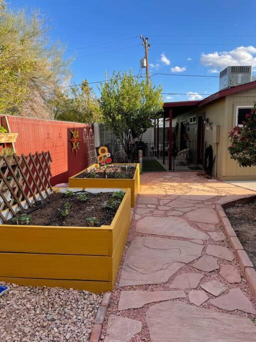 Encanto Cactus Flower Casita Phoenix Ngoại thất bức ảnh